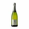 Juvé & Camps Essential Xarel·lo Brut Reserva 2016 -Terry Ventas v042902