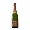 Mestres Brut Ecologic -Terry Ventas v055406