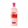 Gordon's Premium Pink -Terry Ventas v057050