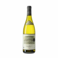 Schloss Gobelsburg Grüner Veltliner Ried Renner 1ötw 2020