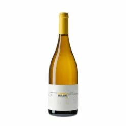 Dominio Do Bibei Lapola 2020