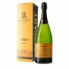 Llopart Lote D: Integral Brut Nature 2018 Magnum / Estuche -Terry Ventas v132809