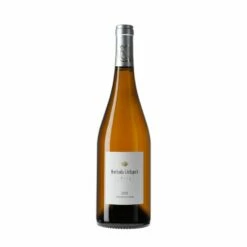 Muchada-Léclapart Lumière 2021