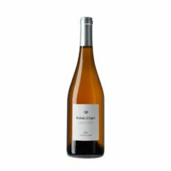 Muchada-Léclapart Vibrations 2021